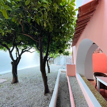 Villa Pomelia, Villa Nel Corso Di Santa Marina Salina A 50 Mt Dal Mare Экстерьер фото